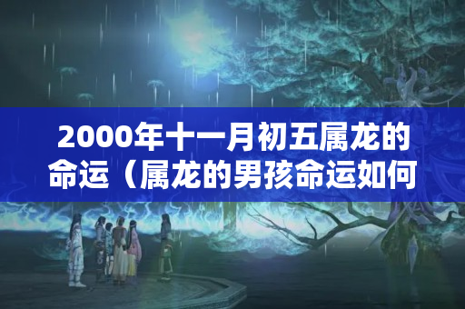 2000年十一月初五属龙的命运（属龙的男孩命运如何）