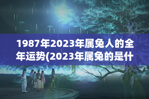 1987年2023年属兔人的全年运势(2023年属兔的是什么命男的)