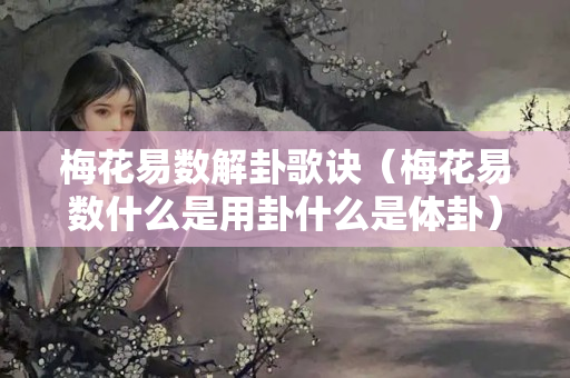 梅花易数解卦歌诀（梅花易数什么是用卦什么是体卦）