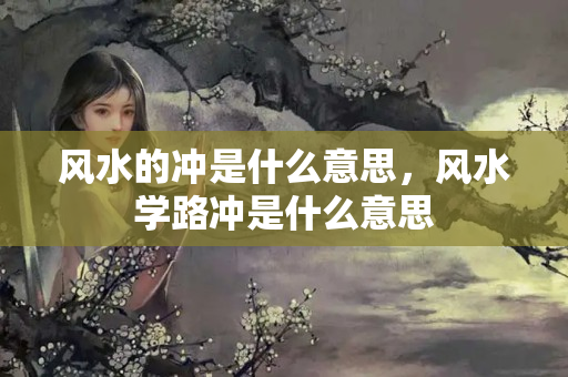 风水的冲是什么意思，风水学路冲是什么意思