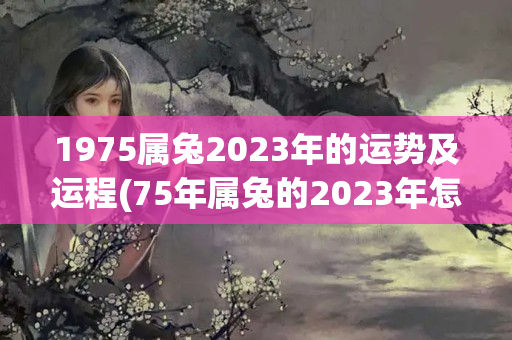 1975属兔2023年的运势及运程(75年属兔的2023年怎么样呢)