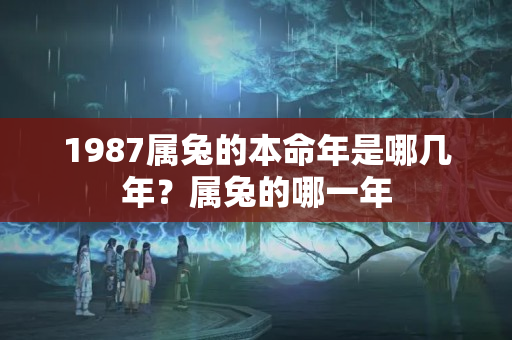 1987属兔的本命年是哪几年？属兔的哪一年