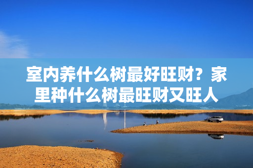 室内养什么树最好旺财？家里种什么树最旺财又旺人