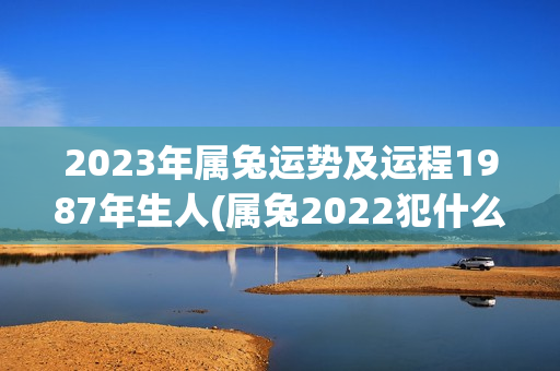 2023年属兔运势及运程1987年生人(属兔2022犯什么太岁最好运)