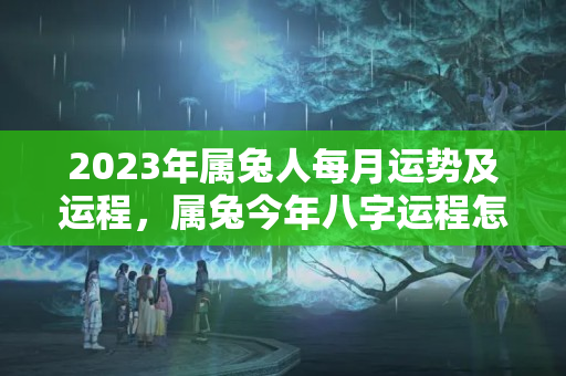 2023年属兔人每月运势及运程，属兔今年八字运程怎么样