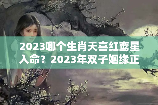 2023哪个生肖天喜红鸾星入命？2023年双子姻缘正缘是谁