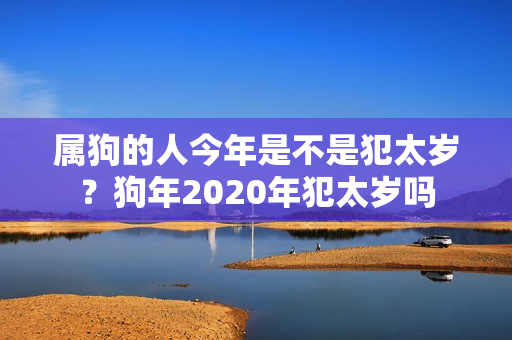 属狗的人今年是不是犯太岁？狗年2020年犯太岁吗