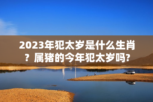 2023年犯太岁是什么生肖？属猪的今年犯太岁吗?