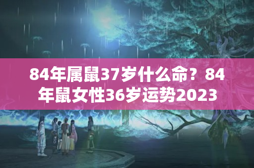 84年属鼠37岁什么命？84年鼠女性36岁运势2023