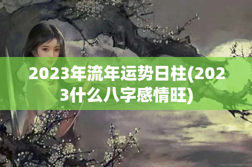 2023年流年运势日柱(2023什么八字感情旺)