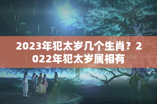 2023年犯太岁几个生肖？2022年犯太岁属相有