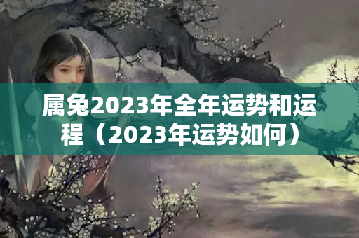 属兔2023年全年运势和运程（2023年运势如何）