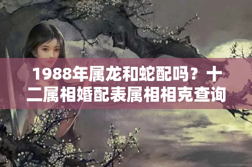 1988年属龙和蛇配吗？十二属相婚配表属相相克查询