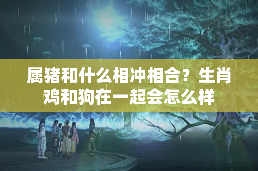 属猪和什么相冲相合？生肖鸡和狗在一起会怎么样