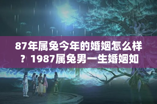 87年属兔今年的婚姻怎么样？1987属兔男一生婚姻如何