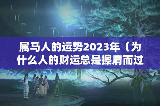 属马人的运势2023年（为什么人的财运总是擦肩而过呢）