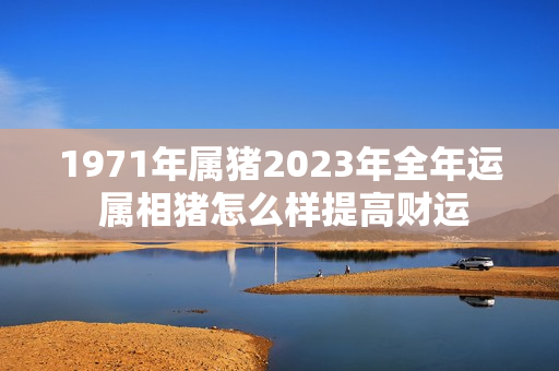 1971年属猪2023年全年运 属相猪怎么样提高财运