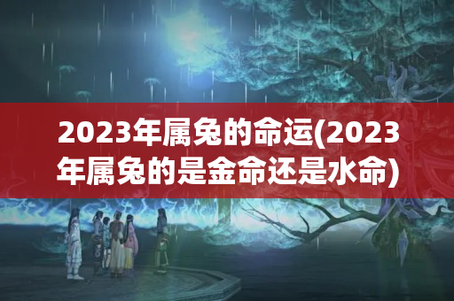 2023年属兔的命运(2023年属兔的是金命还是水命)