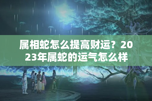 属相蛇怎么提高财运？2023年属蛇的运气怎么样