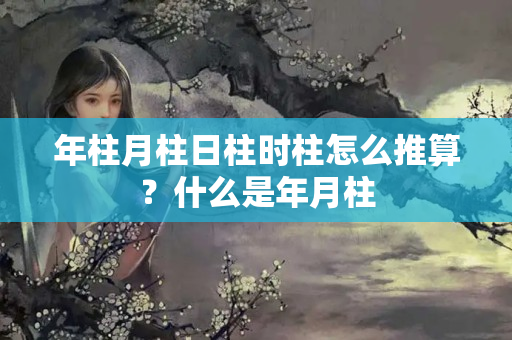 年柱月柱日柱时柱怎么推算？什么是年月柱