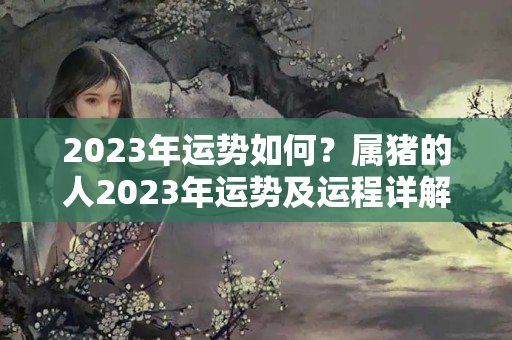 2023年运势如何？属猪的人2023年运势及运程详解