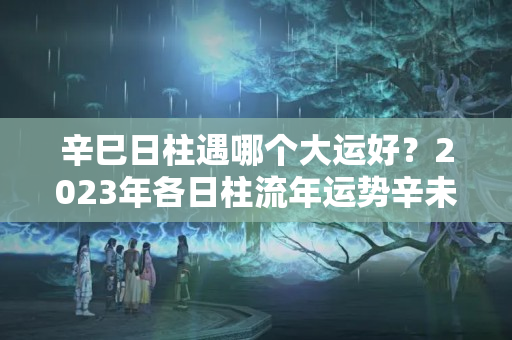 辛巳日柱遇哪个大运好？2023年各日柱流年运势辛未