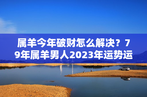 属羊今年破财怎么解决？79年属羊男人2023年运势运程每月运程