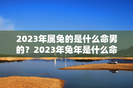 2023年属兔的是什么命男的？2023年兔年是什么命几月生的好