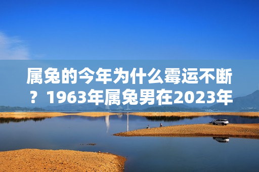 属兔的今年为什么霉运不断？1963年属兔男在2023年运势