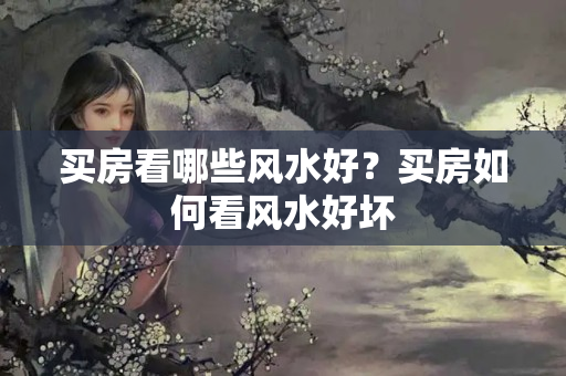 买房看哪些风水好？买房如何看风水好坏