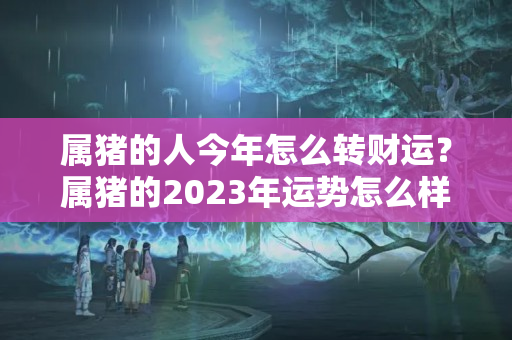 属猪的人今年怎么转财运？属猪的2023年运势怎么样男性