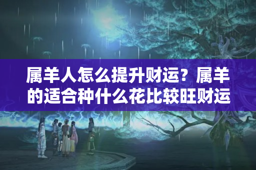 属羊人怎么提升财运？属羊的适合种什么花比较旺财运