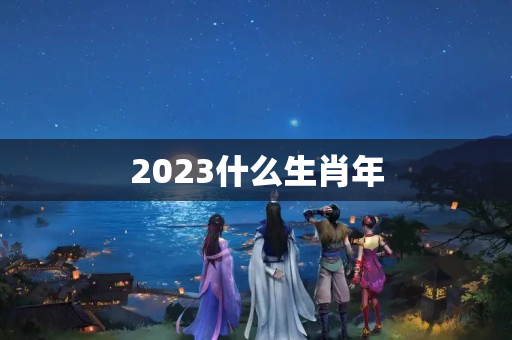 2023什么生肖年