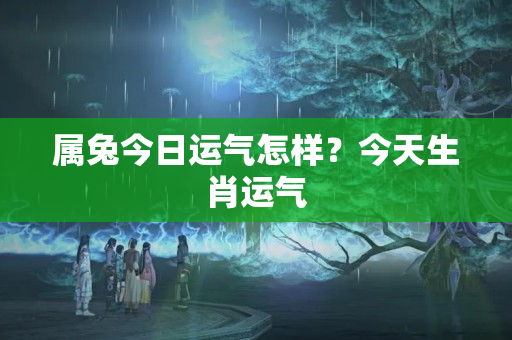 属兔今日运气怎样？今天生肖运气