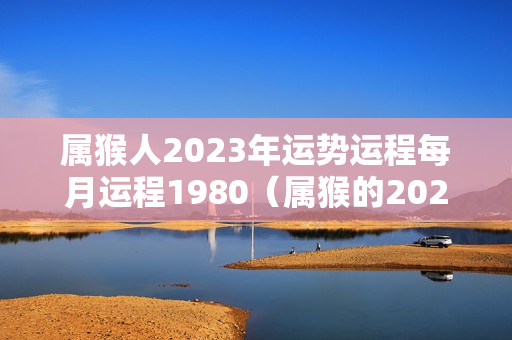 属猴人2023年运势运程每月运程1980（属猴的2021年的运气如何）