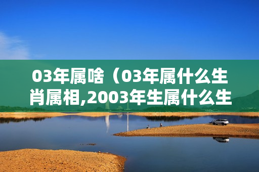 03年属啥（03年属什么生肖属相,2003年生属什么生肖）