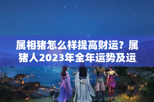 属相猪怎么样提高财运？属猪人2023年全年运势及运程