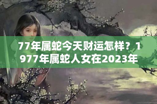 77年属蛇今天财运怎样？1977年属蛇人女在2023年怎么样