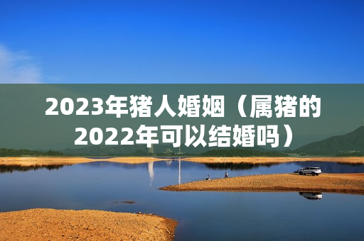 2023年猪人婚姻（属猪的2022年可以结婚吗）