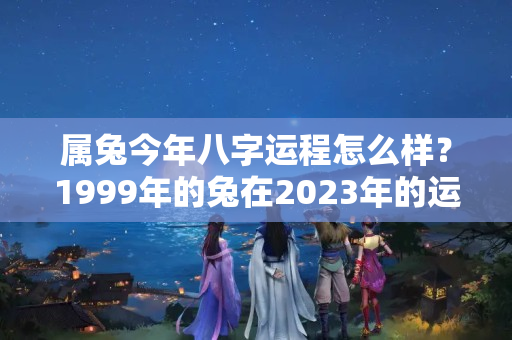 属兔今年八字运程怎么样？1999年的兔在2023年的运势怎么样