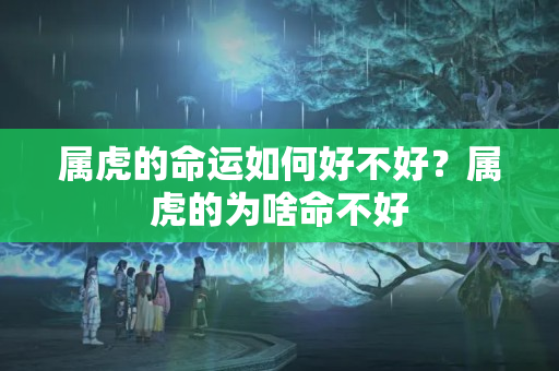 属虎的命运如何好不好？属虎的为啥命不好