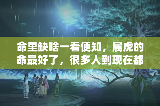 命里缺啥一看便知，属虎的命最好了，很多人到现在都不知道，你是其中一个吗