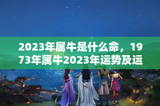 2023年属牛是什么命，1973年属牛2023年运势及运程男