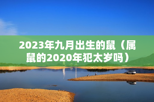 2023年九月出生的鼠（属鼠的2020年犯太岁吗）