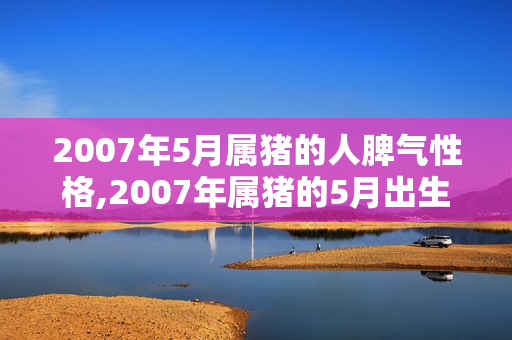 2007年5月属猪的人脾气性格,2007年属猪的5月出生好吗