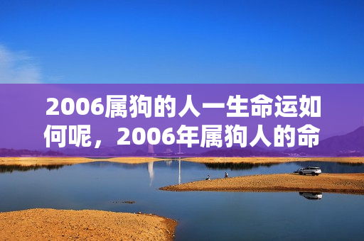 2006属狗的人一生命运如何呢，2006年属狗人的命运