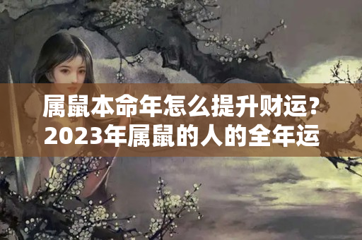 属鼠本命年怎么提升财运？2023年属鼠的人的全年运势