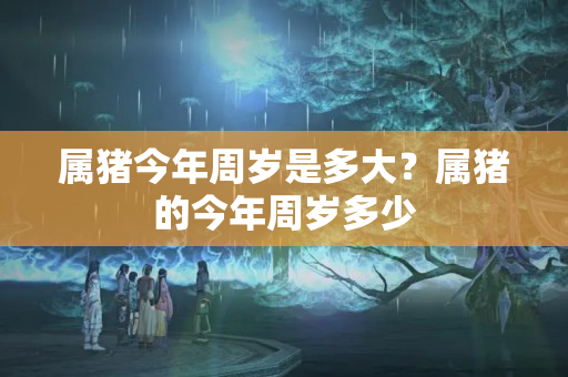 属猪今年周岁是多大？属猪的今年周岁多少