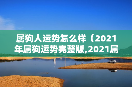 属狗人运势怎么样（2021年属狗运势完整版,2021属狗的全年运势）