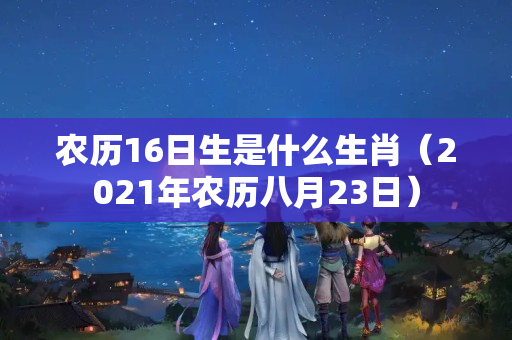 农历16日生是什么生肖（2021年农历八月23日）